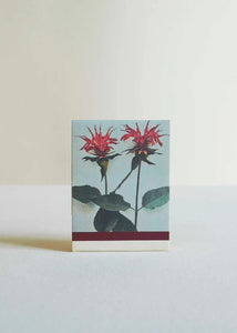 In The Weeds Candle